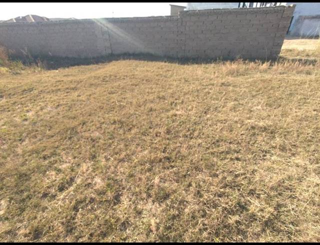 LAND FOR SALE IN MANKWENG